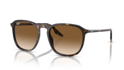 Ray-Ban 2203
